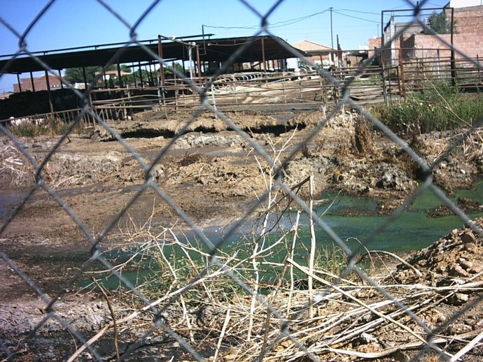 Vaquería De Fuente Palmera (Córdoba)