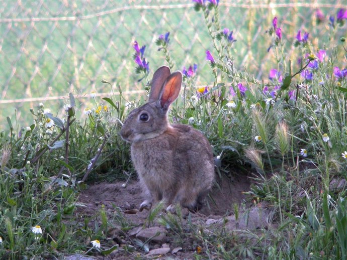 El CITA Colabora Con TRAGSA En La Investigación