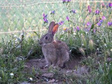 El CITA Colabora Con TRAGSA En La Investigación
