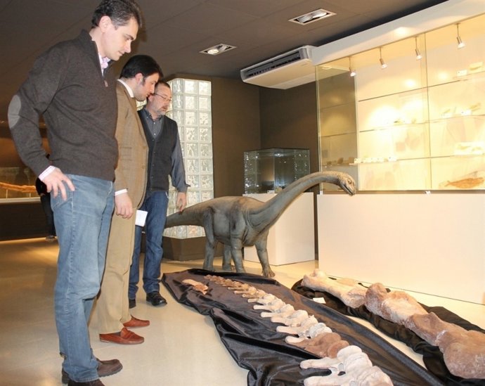 'Spinophorosaurus Nigerensis'