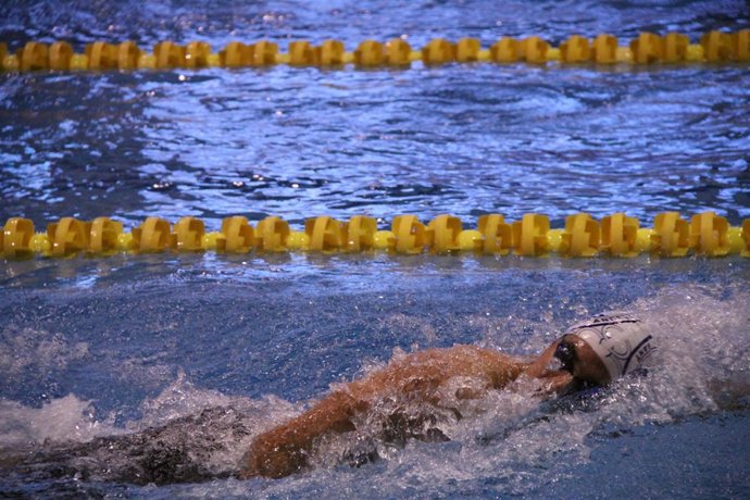 Campeonato De España De Natacion