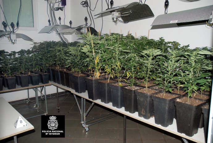 Vivero Desmantelado En Teo (A Coruña)