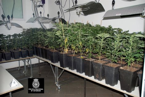 Vivero Desmantelado En Teo (A Coruña)