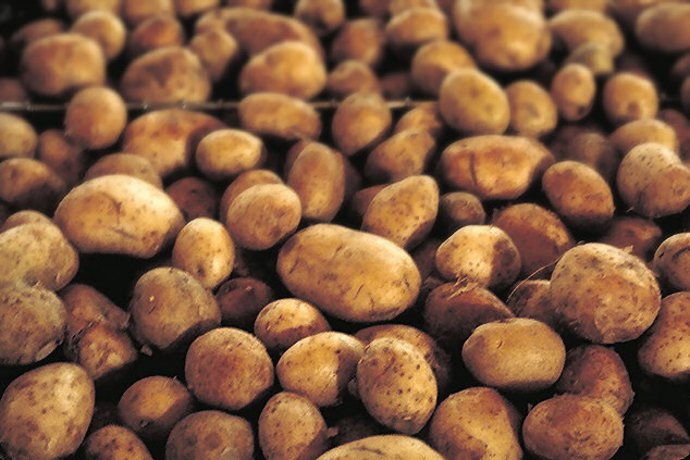 Patatas