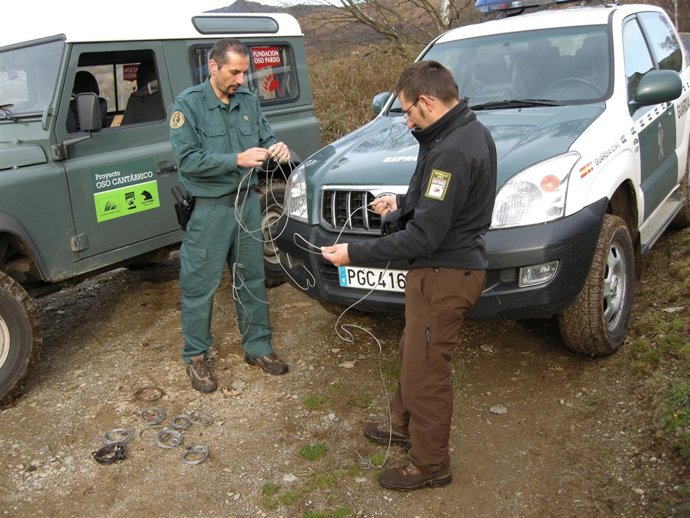 Lazos Ilegales En La Cordillera Cantábrica