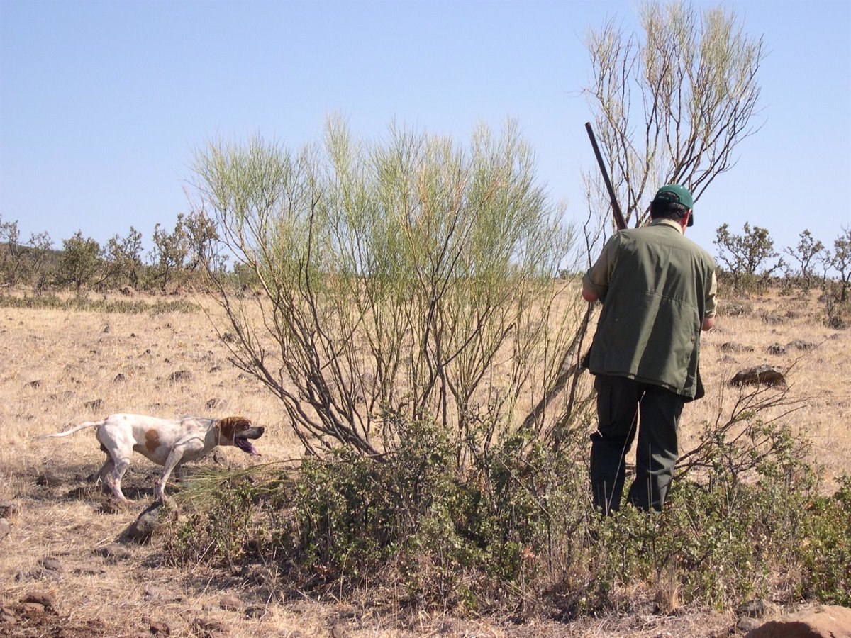 JAULA TRAMPA PARA PALOMAS – Materiales para Cotos de Caza