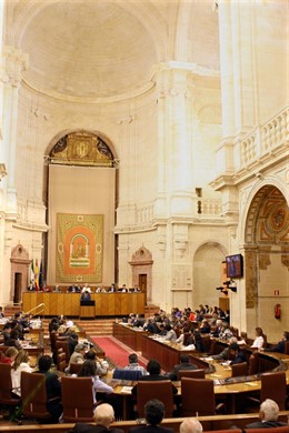 pleno del Parlamento andauz