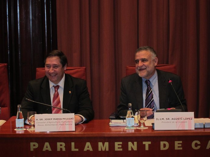 El Conseller Josep Maria Pelegrí, En El Parlament