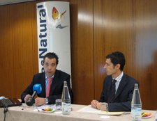 Balance Gas Natural Andalucía