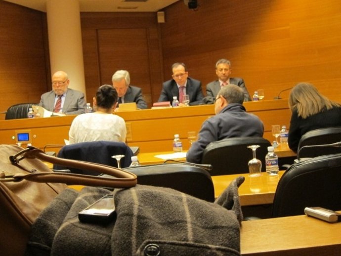 Comisión De La CAM En Las Corts