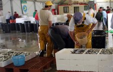 Pescadores de Huelva