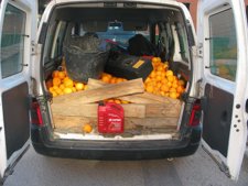 Naranjas Recuperadas Por La Guardia Civil En Almussafes