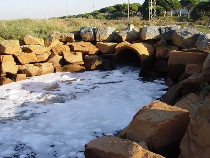 Vertidos Sin Depurar De La Depuradora De Punta, Según Ecologistas En Acción.