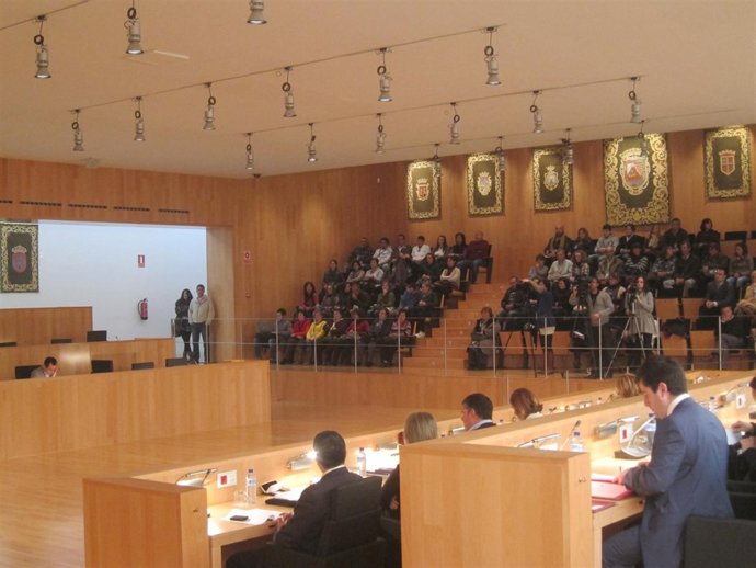 Padres Y Madres De Los Alumnos Afectado, En El Pleno