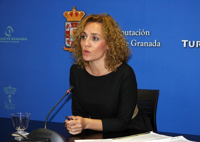 Diputada Provincial De Turismo,