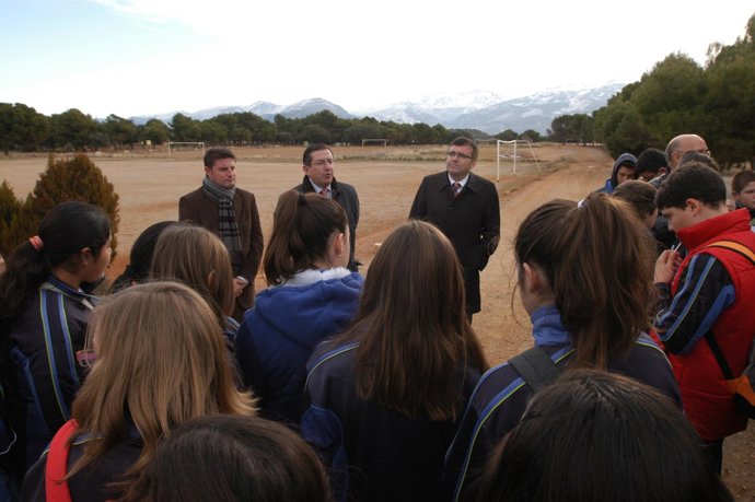 Reforestación Impulsada Por Cajagranada 