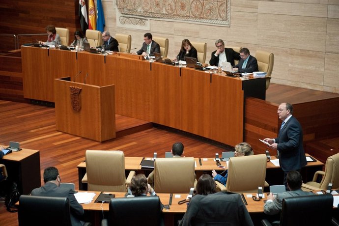 Pleno De La Asamblea