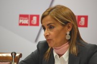 Silva critica la "renuncia" de Gobierno y Xunta a que el AVE llegue a Galicia en 2015, aunque antes era "irrenunciable"