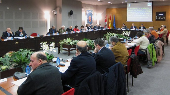 Presentación De Informes Sobre Minería Y Población En El Pleno Del CES