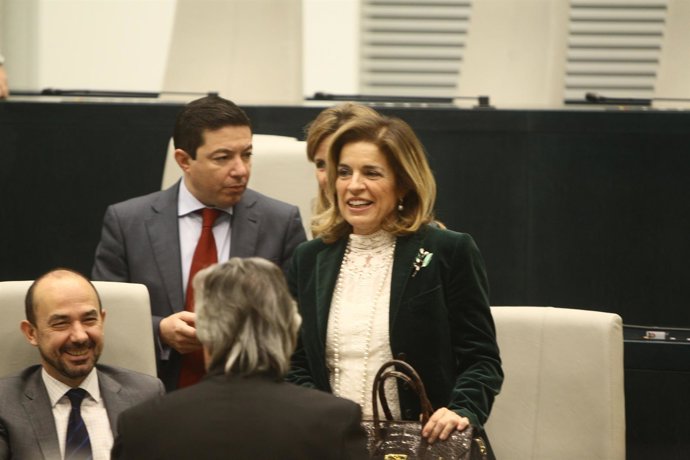 Ana Botella En El Pleno Extraordinario Del Ayuntamiento De Madrid