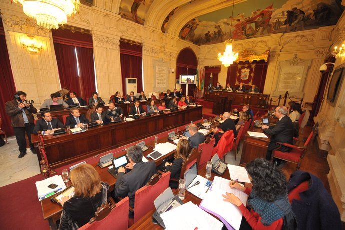Pleno Del Ayuntamiento De Málaga