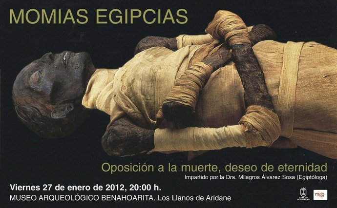 Cartel De La Conferencia