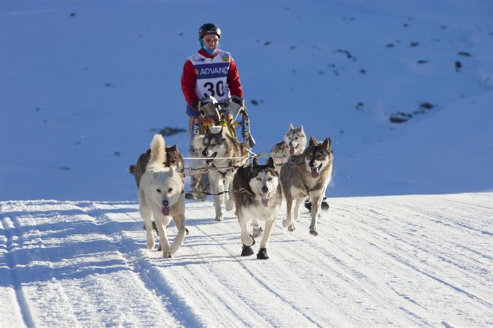 El Alemán Tom Andres