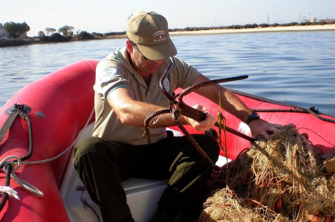 Uno De Los Agentes Seleccionados Decomisando Artes Ilegales De Pesca