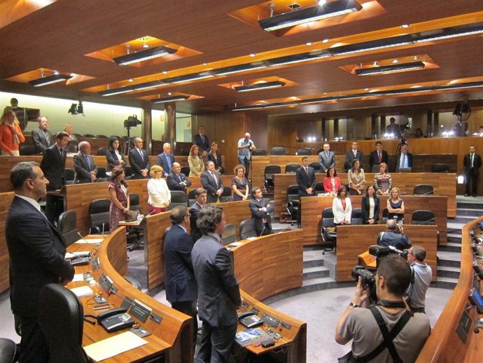 Pleno De La Junta General