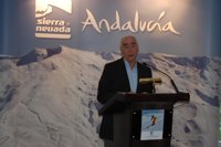 La Junta no prevé una incidencia importante en Andalucía por el cierre de Spanair