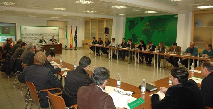 Imagen De La Jornada