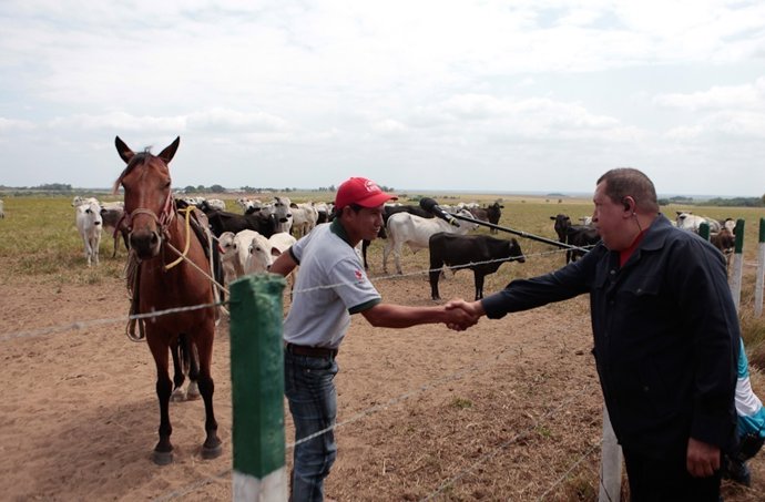Hugo Chávez, Presidente De Venezuela.