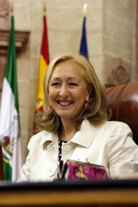 Coves, dispuesta a hacer pública la declaración de renta de Arenas si se lo autoriza