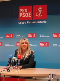 El PSdeG pide "liquidar" el Consorcio y transferir sus fondos a los municipios