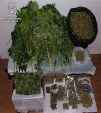 Desmantelan en Ibiza un 'coffee shop' ilegal en el que 400 socios adquirían diversas drogas