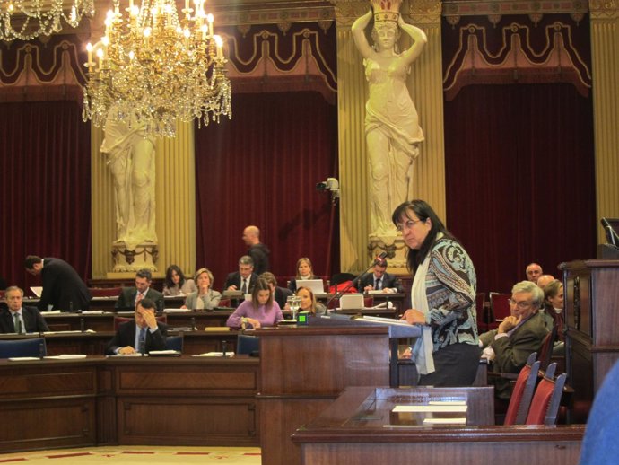 Carmen Castro En El Parlament