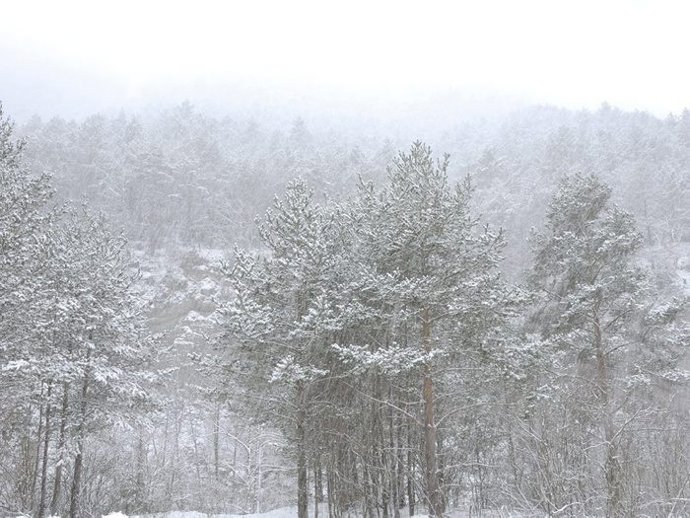 Nevada En El Parc Cadí-Moixeró