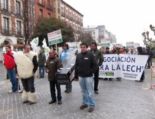 Manifestación De Ganaderos De Ovino.