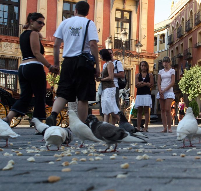 Turistas en el casco histórico de Sevilla.
