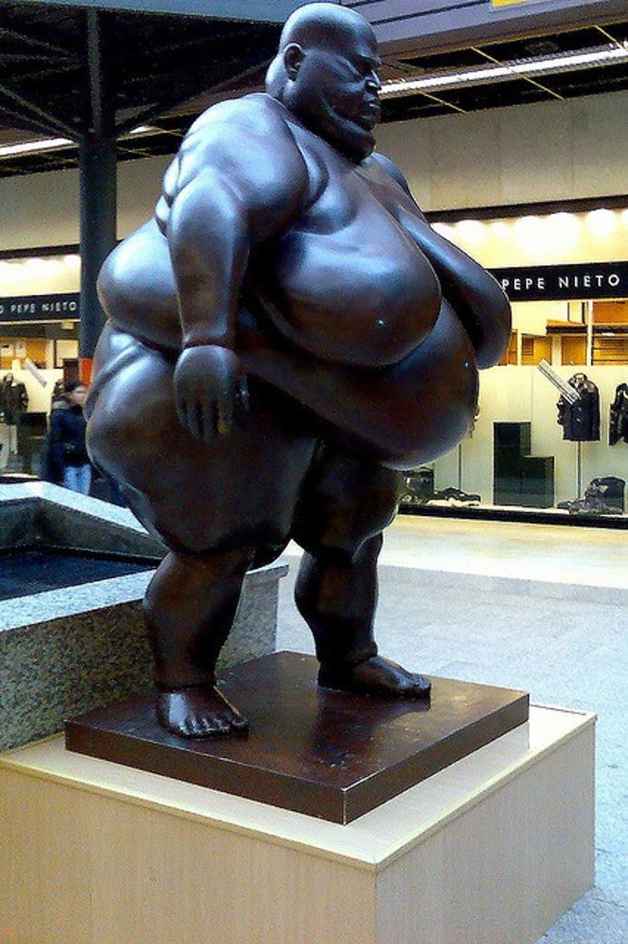 Obeso, Obesidad, Gordo