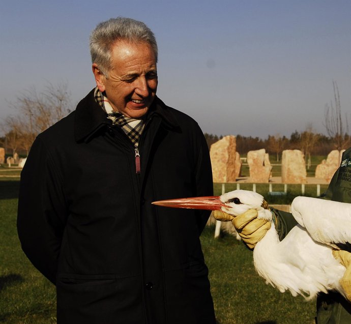 Lobón En La Reserva Natural De Los Sotos Y Galachos Del Ebro En Pastriz