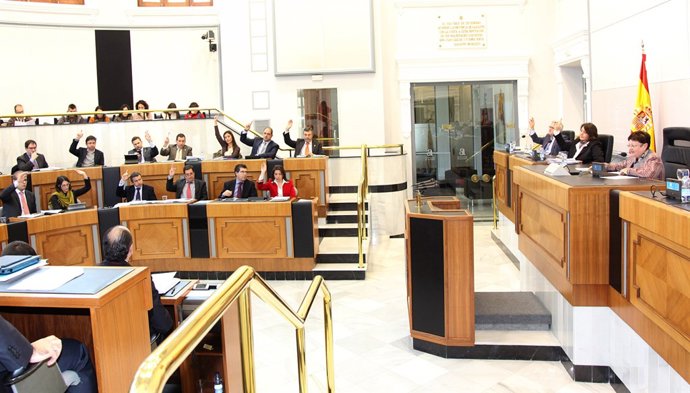 Un Momento Del Pleno De La Diputación De Alicante