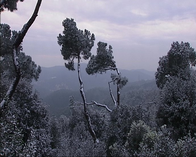 La Nieve Llega A Barcelona