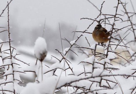 Temporal De Nieve, Frío, Viento Y Olas En España