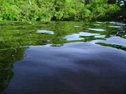 Exposición Talita Caselato En Demolden Video Project