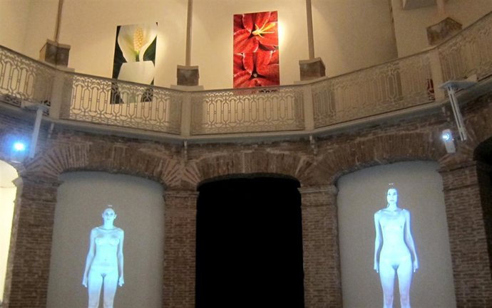 'Acha' De Julia Galán En La Gallera