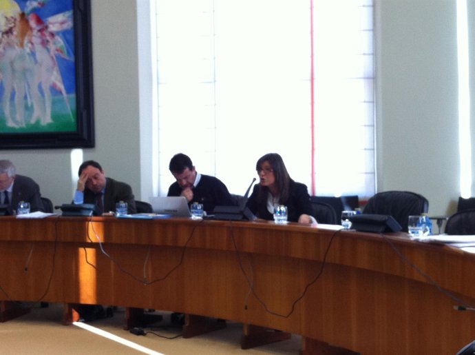 Foto Caride Comision Copago