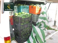 La Guardia Civil detiene a una persona que transportaba casi 600 kilos de aguacates robados