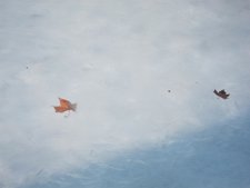 El Hielo Dificulta La Circulación