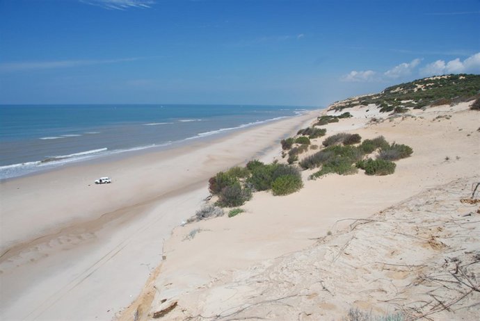 Zona De Costa Comprendida Entre Matalascañas Y Mazagón.